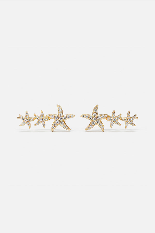 Sea Star Climber Earrings