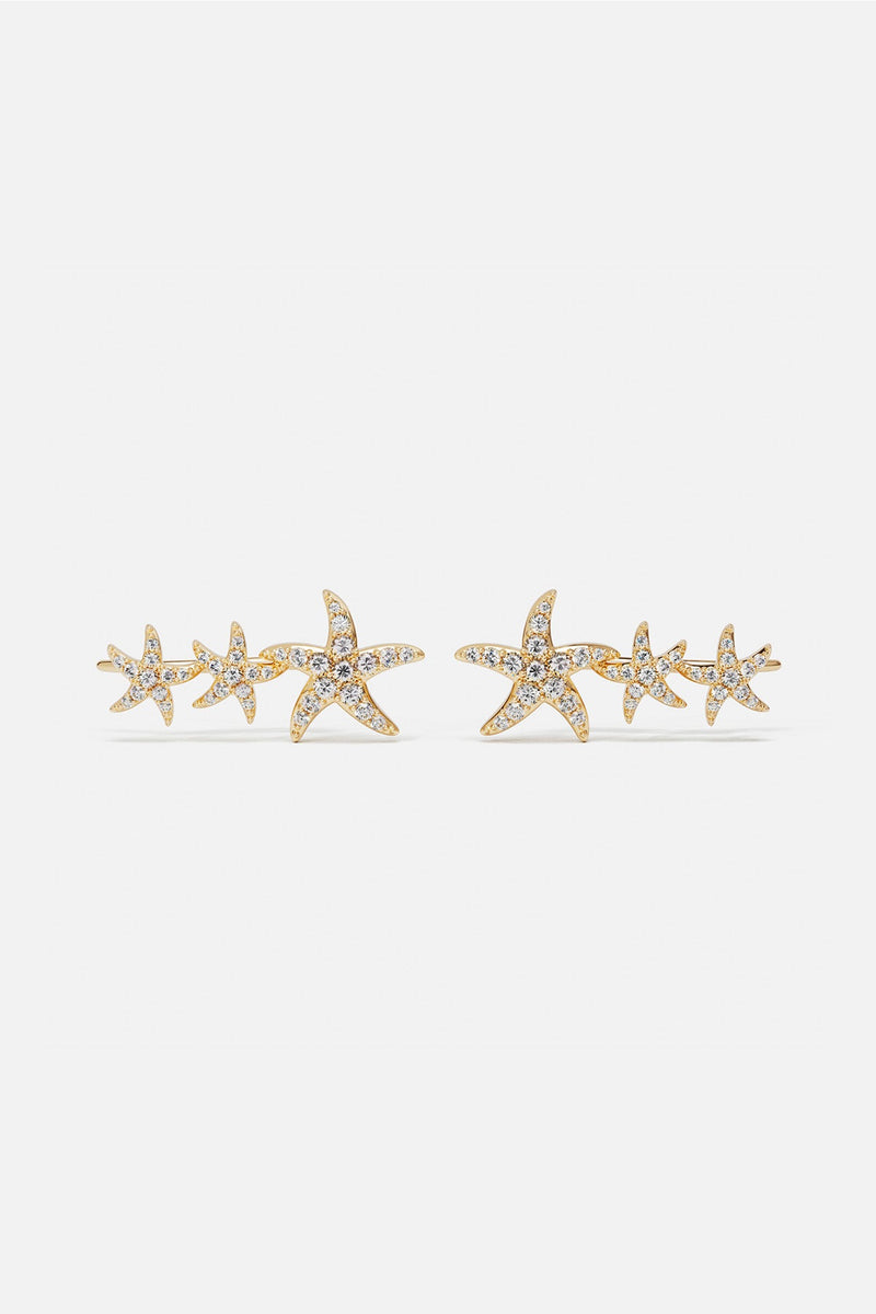 Sea Star Climber Earrings