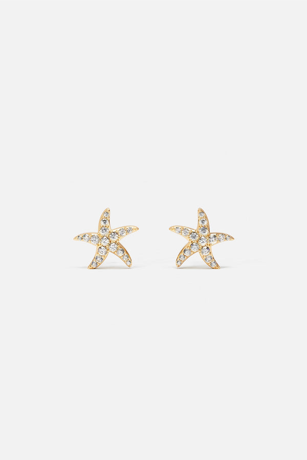 Sea Star Stud Earrings